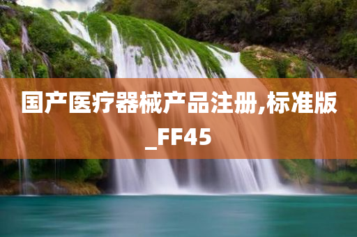 国产医疗器械产品注册,标准版_FF45