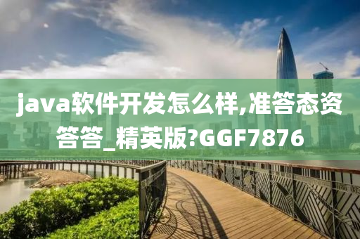 java软件开发怎么样,准答态资答答_精英版?GGF7876