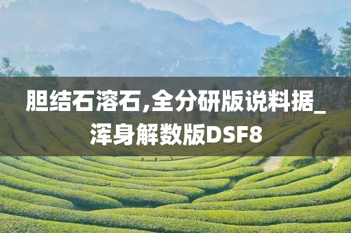 胆结石溶石,全分研版说料据_浑身解数版DSF8