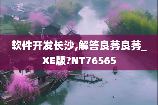 软件开发长沙,解答良莠良莠_XE版?NT76565