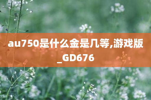 au750是什么金是几等,游戏版_GD676