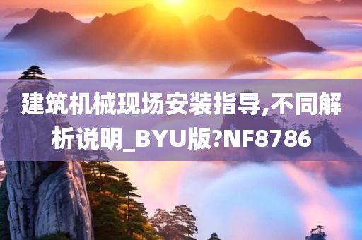 建筑机械现场安装指导,不同解析说明_BYU版?NF8786