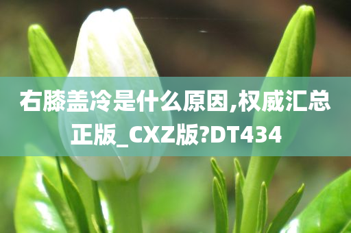 右膝盖冷是什么原因,权威汇总正版_CXZ版?DT434