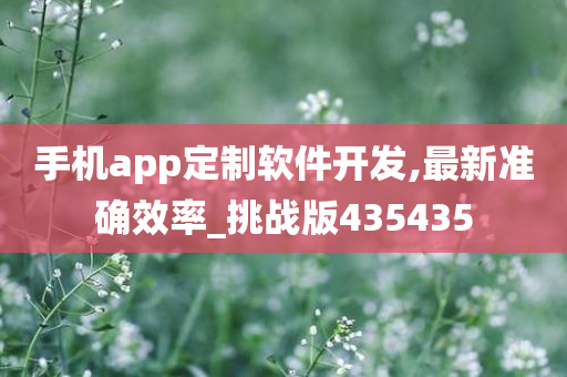 手机app定制软件开发,最新准确效率_挑战版435435