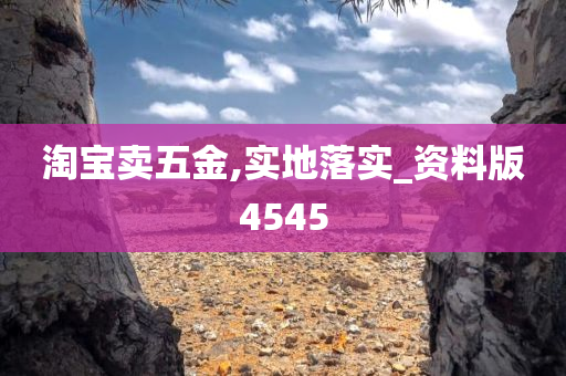 淘宝卖五金,实地落实_资料版4545