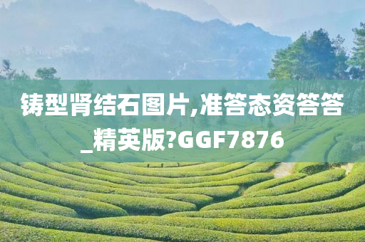 铸型肾结石图片,准答态资答答_精英版?GGF7876