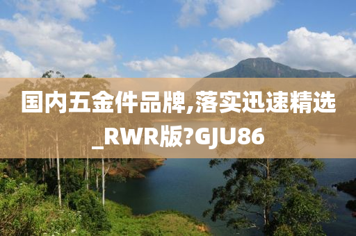 国内五金件品牌,落实迅速精选_RWR版?GJU86