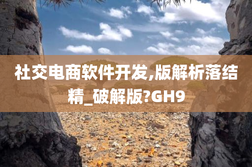 社交电商软件开发,版解析落结精_破解版?GH9