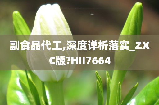 副食品代工,深度详析落实_ZXC版?HII7664