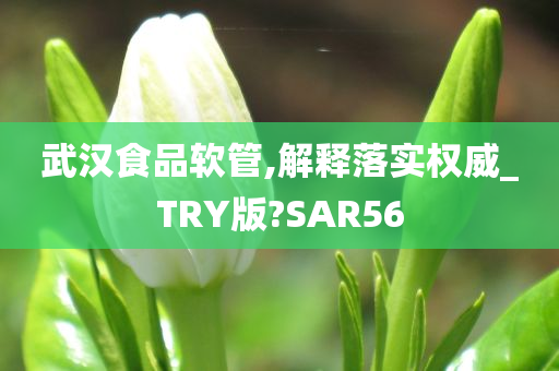 武汉食品软管,解释落实权威_TRY版?SAR56