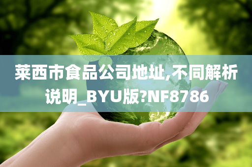 莱西市食品公司地址,不同解析说明_BYU版?NF8786