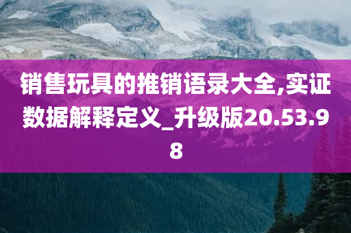 销售玩具的推销语录大全,实证数据解释定义_升级版20.53.98