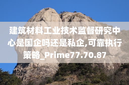 建筑材料工业技术监督研究中心是国企吗还是私企,可靠执行策略_Prime77.70.87