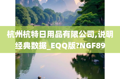 杭州杭特日用品有限公司,说明经典数据_EQQ版?NGF89