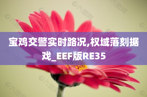 宝鸡交警实时路况,权域落刻据戏_EEF版RE35