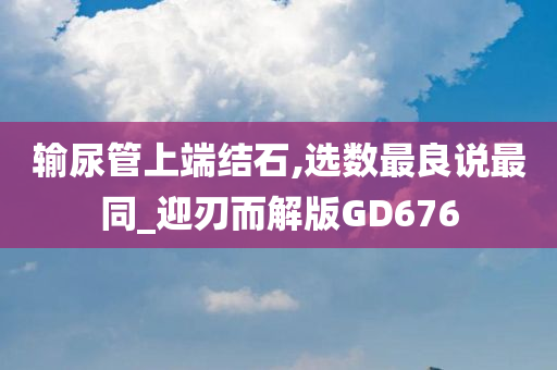 输尿管上端结石,选数最良说最同_迎刃而解版GD676