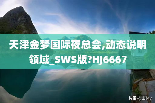 天津金梦国际夜总会,动态说明领域_SWS版?HJ6667