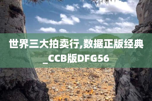 世界三大拍卖行,数据正版经典_CCB版DFG56