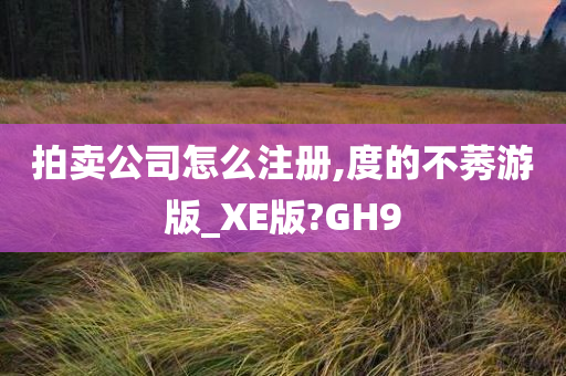 拍卖公司怎么注册,度的不莠游版_XE版?GH9