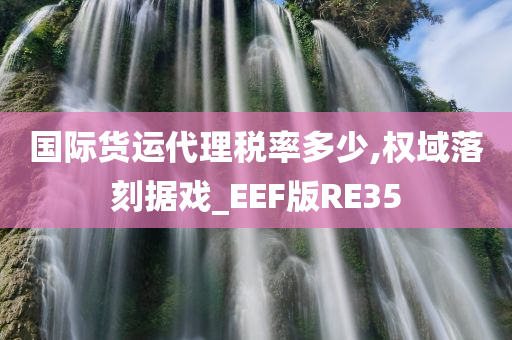 国际货运代理税率多少,权域落刻据戏_EEF版RE35