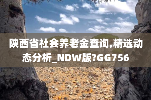 陕西省社会养老金查询,精选动态分析_NDW版?GG756