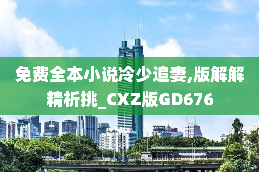 免费全本小说冷少追妻,版解解精析挑_CXZ版GD676