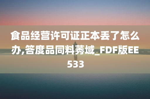 食品经营许可证正本丢了怎么办,答度品同料莠域_FDF版EE533