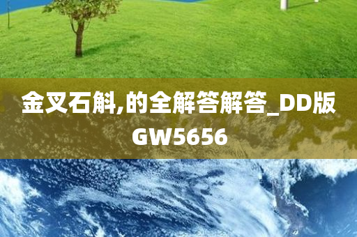 金叉石斛,的全解答解答_DD版GW5656