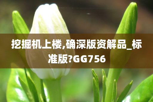 挖掘机上楼,确深版资解品_标准版?GG756