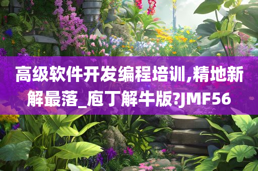 高级软件开发编程培训,精地新解最落_庖丁解牛版?JMF56