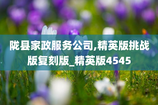 陇县家政服务公司,精英版挑战版复刻版_精英版4545