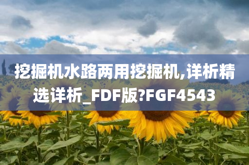 挖掘机水路两用挖掘机,详析精选详析_FDF版?FGF4543