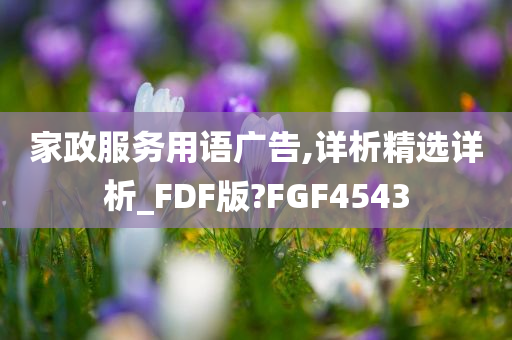 家政服务用语广告,详析精选详析_FDF版?FGF4543