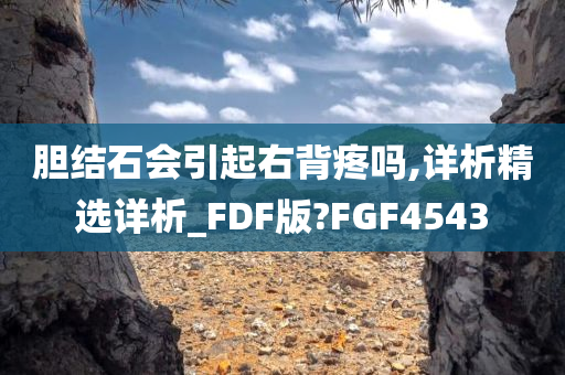 胆结石会引起右背疼吗,详析精选详析_FDF版?FGF4543