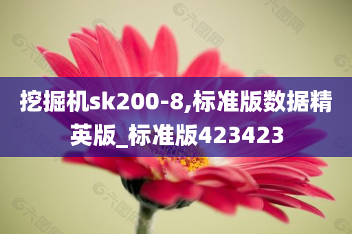 挖掘机sk200-8,标准版数据精英版_标准版423423