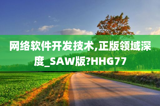 网络软件开发技术,正版领域深度_SAW版?HHG77