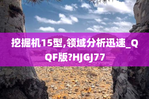 挖掘机15型,领域分析迅速_QQF版?HJGJ77