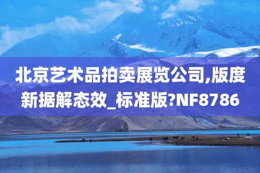 北京艺术品拍卖展览公司,版度新据解态效_标准版?NF8786