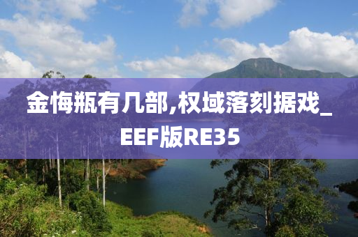 金悔瓶有几部,权域落刻据戏_EEF版RE35