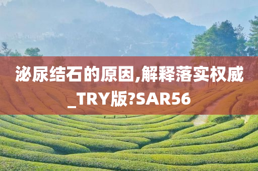 泌尿结石的原因,解释落实权威_TRY版?SAR56