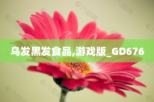 乌发黑发食品,游戏版_GD676