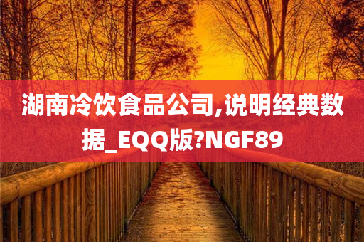 湖南冷饮食品公司,说明经典数据_EQQ版?NGF89