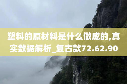 塑料的原材料是什么做成的,真实数据解析_复古款72.62.90