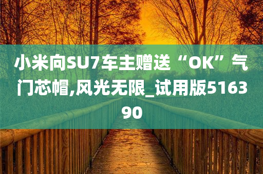 小米向SU7车主赠送“OK”气门芯帽,风光无限_试用版516390