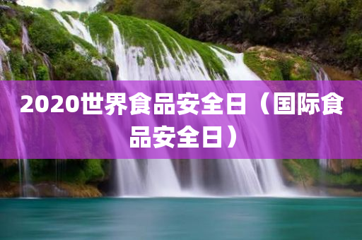 2020世界食品安全日（国际食品安全日）