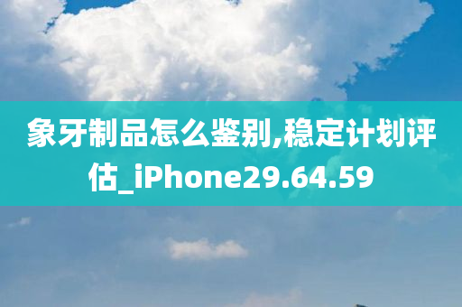 象牙制品怎么鉴别,稳定计划评估_iPhone29.64.59