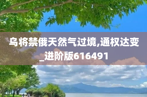 乌将禁俄天然气过境,通权达变_进阶版616491