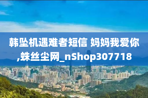 韩坠机遇难者短信 妈妈我爱你,蛛丝尘网_nShop307718