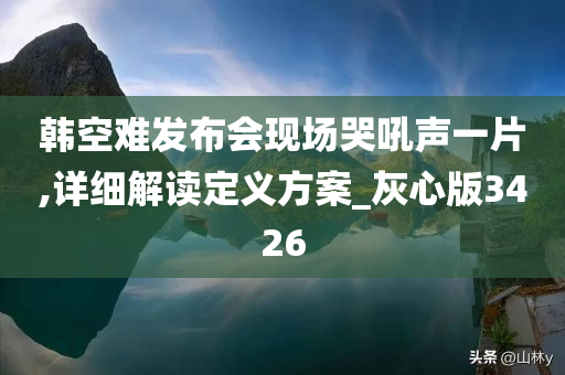 韩空难发布会现场哭吼声一片,详细解读定义方案_灰心版3426