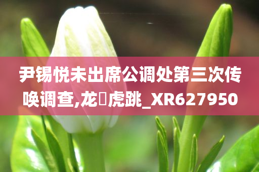 尹锡悦未出席公调处第三次传唤调查,龙拏虎跳_XR627950